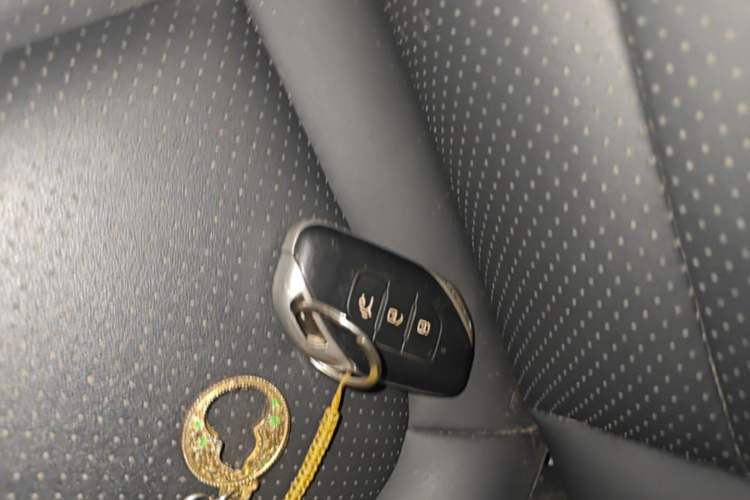 Used FORTHING T5 EVO 2021 1.5TD DCT Diamond Edition Vehicle Key
