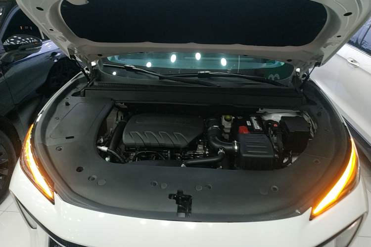 Used FORTHING T5 EVO 2021 1.5TD DCT Diamond Edition Engine Bay