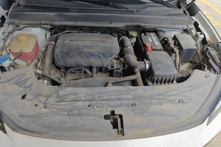 Used FORTHING T5 EVO 2021 1.5TD DCT Platinum Edition Engine Bay