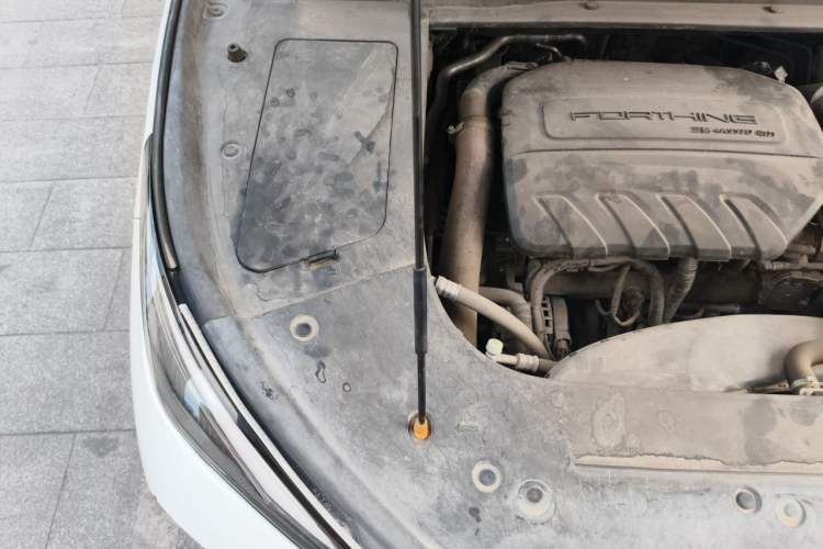 Used FORTHING T5 EVO 2021 1.5TD DCT Starry Edition Engine Bay Right