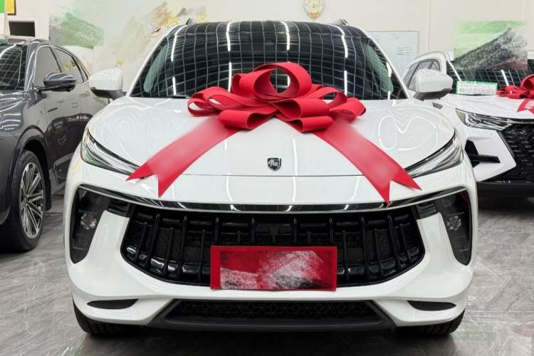 Used FORTHING T5 EVO 2021 1.5TD DCT Diamond Edition Exterior 1