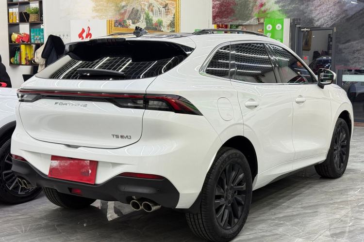 Used FORTHING T5 EVO 2021 1.5TD DCT Diamond Edition Exterior 2