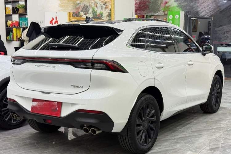 Used FORTHING T5 EVO 2021 1.5TD DCT Diamond Edition Exterior 3