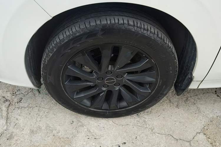 Used FORTHING T5 EVO 2021 1.5TD DCT Diamond Edition Exterior 4