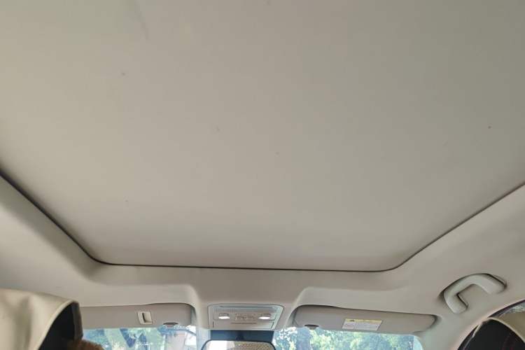 Used FORTHING T5 EVO 2021 1.5TD DCT Diamond Edition Headliner