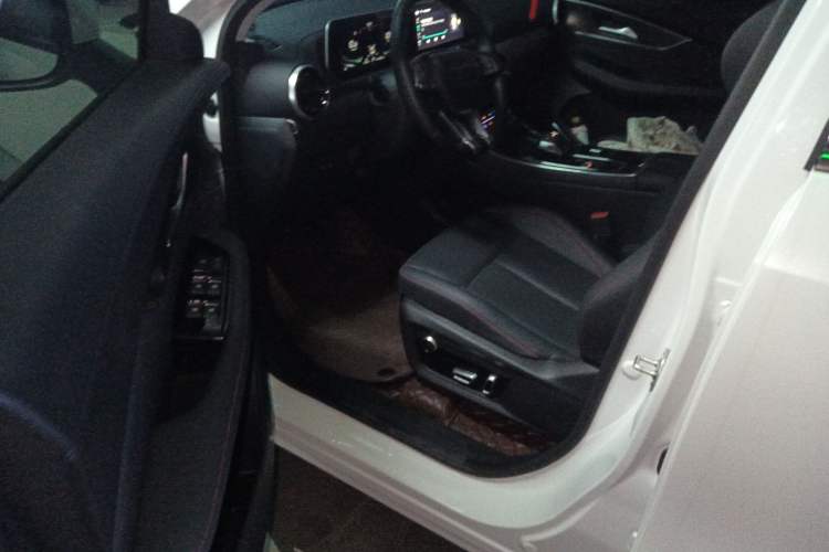 Used FORTHING T5 EVO 2021 1.5TD DCT Diamond Edition Interior 3