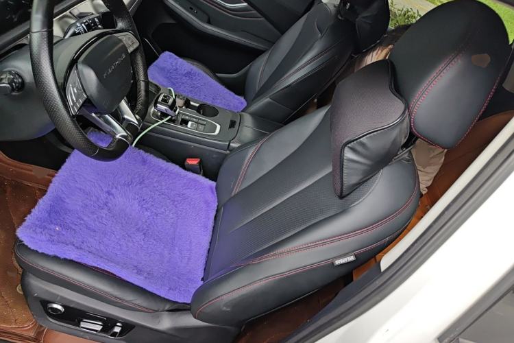 Used FORTHING T5 EVO 2021 1.5TD DCT Diamond Edition Left Front Seat