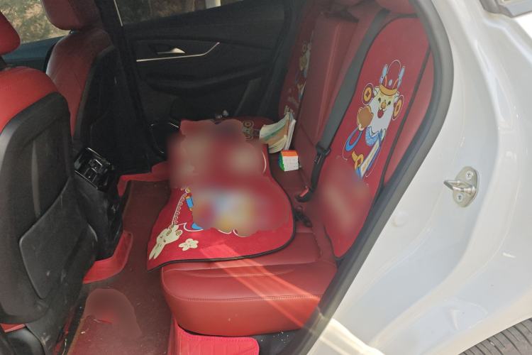 Used FORTHING T5 EVO 2021 1.5TD DCT Starry Edition Left Rear Seat
