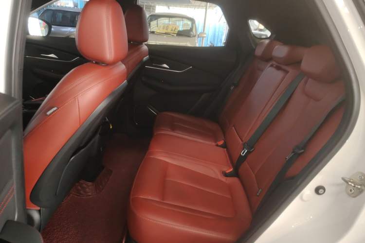 Used FORTHING T5 EVO 2021 1.5TD DCT Starry Edition Left Rear Seat