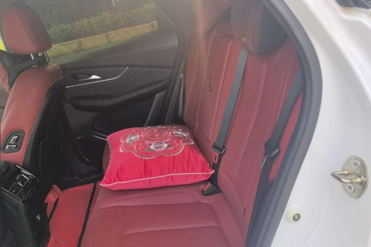 Used FORTHING T5 EVO 2021 1.5TD DCT Starry Edition Left Rear Seat