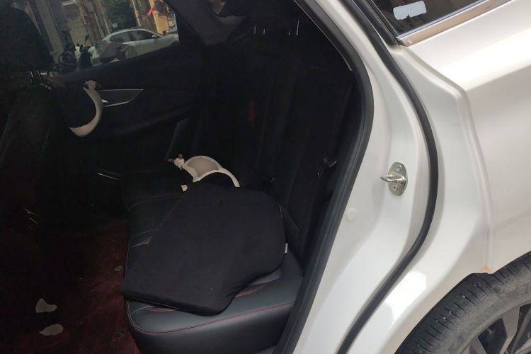 Used FORTHING T5 EVO 2021 1.5TD DCT Diamond Edition Left Rear Seat