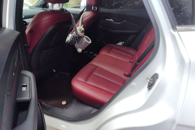 Used FORTHING T5 EVO 2021 1.5TD DCT Starry Edition Left Rear Seat