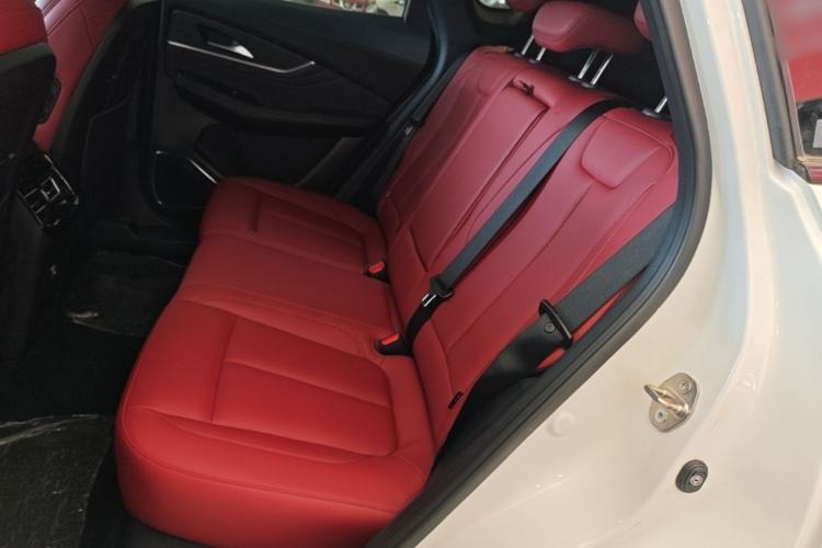 Used FORTHING T5 EVO 2021 1.5TD DCT Starry Edition Left Rear Seat