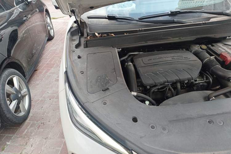 Used FORTHING T5 EVO 2023 1.5TD DCT Starry Edition Engine Bay Right