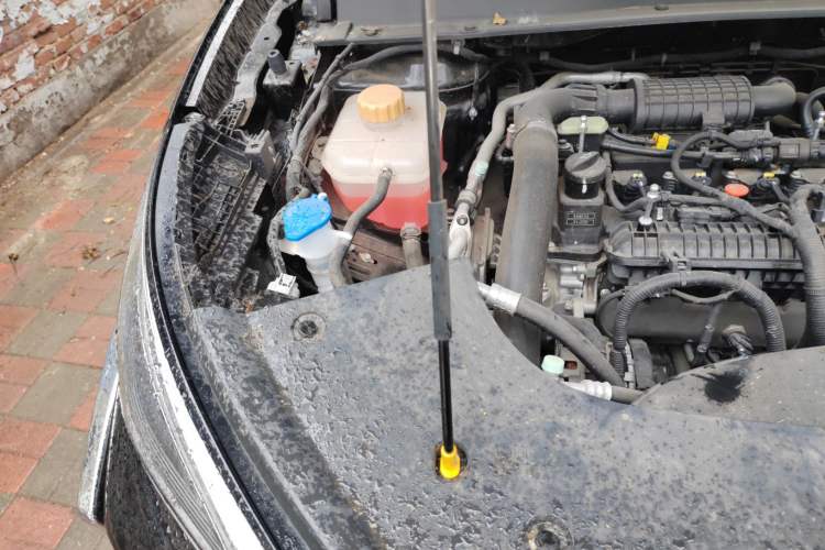 Used FORTHING T5 EVO 2024 1.5TD DCT Starry Edition Engine Bay Right