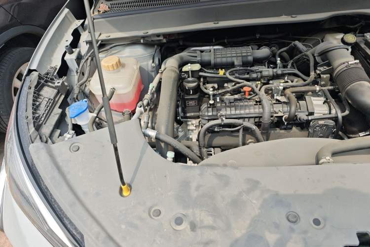 Used FORTHING T5 EVO 2024 Kungbiao Edition 1.5TD DCT Platinum Model Engine Bay Right