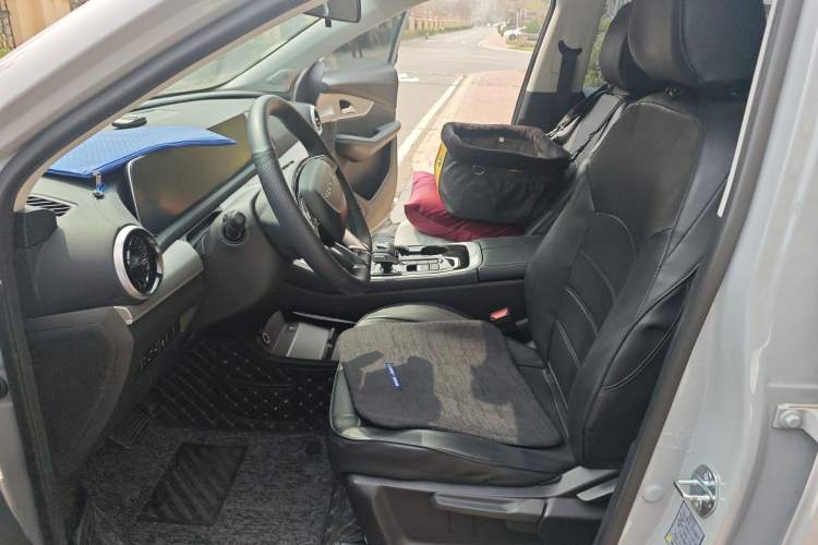 Used FORTHING T5 EVO 2024 Kungbiao Edition 1.5TD DCT Platinum Model Left Front Seat
