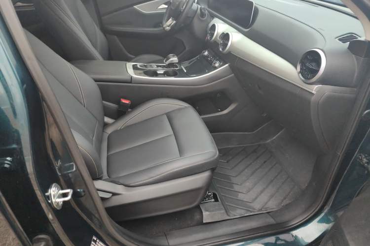 Used FORTHING T5 EVO 2024 Kungfeng Edition 1.5TD DCT Custom Model Right Front Seat