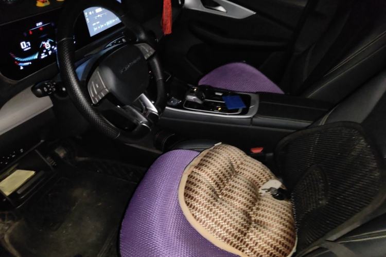 Used FORTHING T5 EVO 2024 Kungfeng Edition 1.5TD DCT Golden Model Left Front Seat