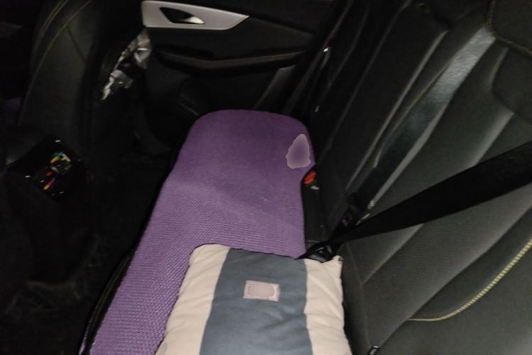 Used FORTHING T5 EVO 2024 Kungfeng Edition 1.5TD DCT Golden Model Left Rear Seat