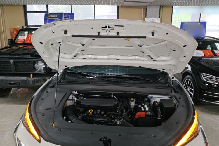 Used FORTHING T5 EVO 2024 Kungfeng Edition 1.5TD DCT Mach Diamond Model Engine Bay
