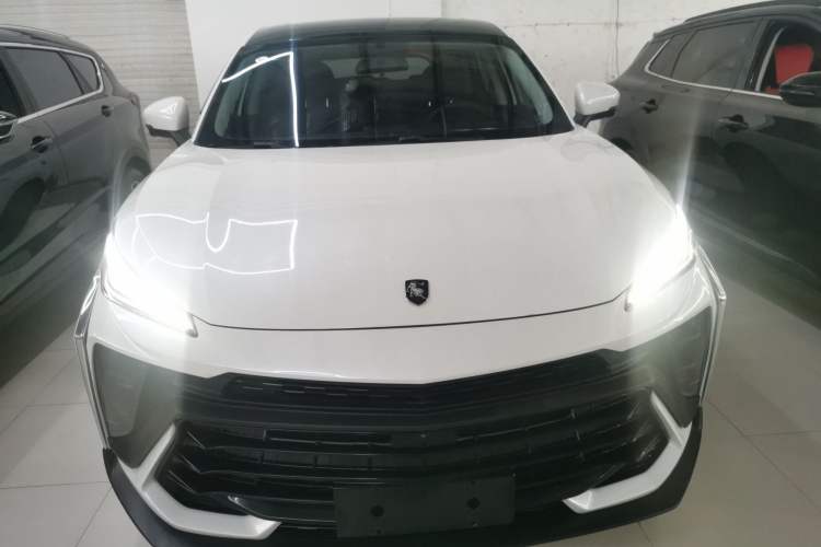Used FORTHING T5 EVO 2024 Kungbiao Edition 1.5TD DCT Platinum Model Exterior 1