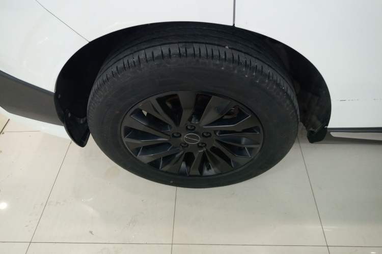 Used FORTHING T5 EVO 2024 1.5TD DCT Starry Edition Exterior 2