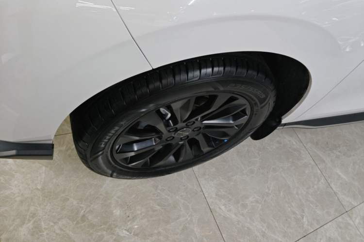 Used FORTHING T5 EVO 2024 Kungfeng Edition 1.5TD DCT Mach Diamond Model Exterior 4