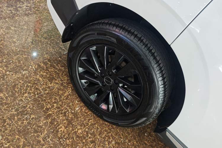 Used FORTHING T5 EVO 2024 1.5TD DCT Starry Edition Exterior 5