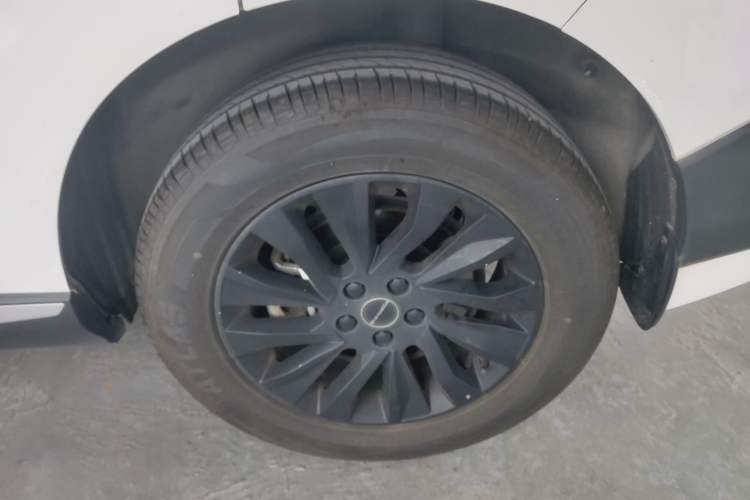 Used FORTHING T5 EVO 2024 1.5TD DCT Starry Edition Exterior 7