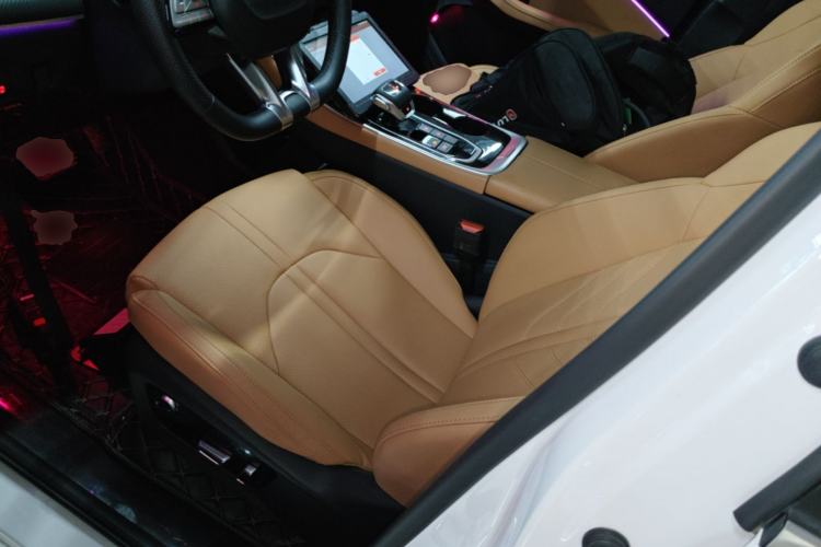 Used FORTHING T5 EVO 2024 Kungfeng Edition 1.5TD DCT Mach Diamond Model Left Front Seat