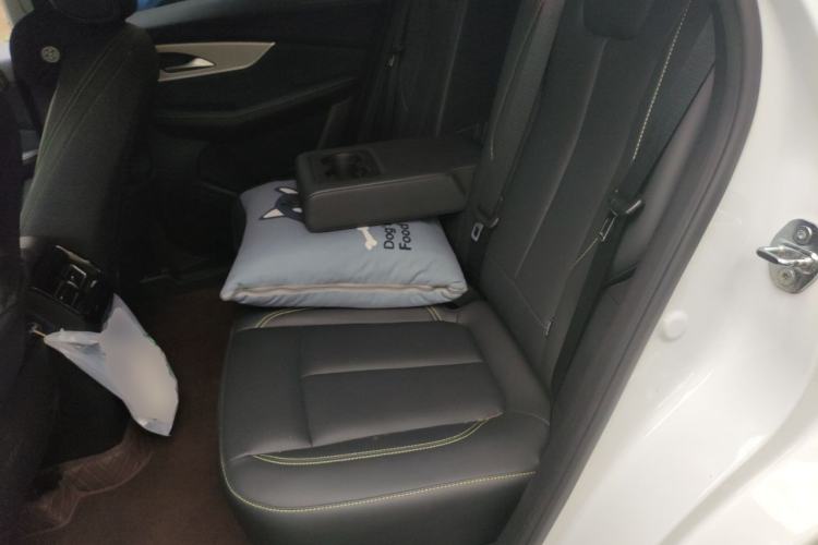 Used FORTHING T5 EVO 2024 Kungbiao Edition 1.5TD DCT Platinum Model Left Rear Seat