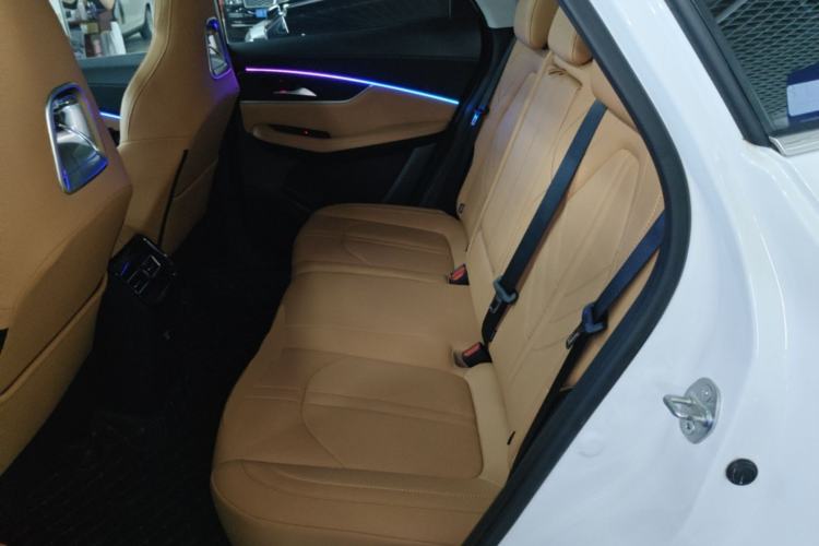 Used FORTHING T5 EVO 2024 Kungfeng Edition 1.5TD DCT Mach Diamond Model Left Rear Seat