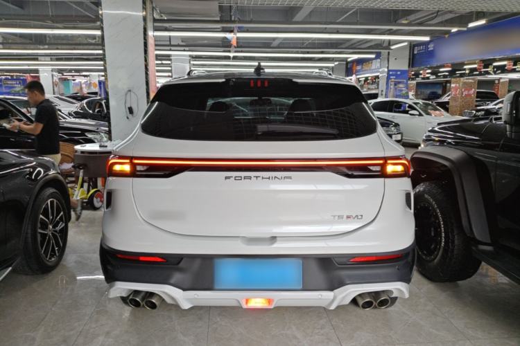Used FORTHING T5 EVO 2024 Kungfeng Edition 1.5TD DCT Mach Diamond Model Rear