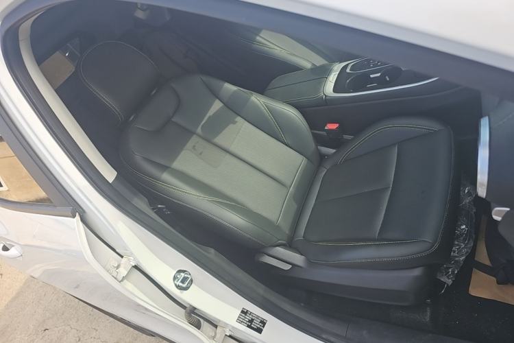 Used FORTHING T5 EVO 2024 Kungbiao Edition 1.5TD DCT Platinum Model Right Front Seat