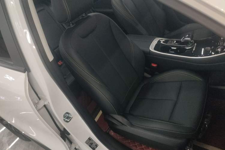 Used FORTHING T5 EVO 2024 Kungbiao Edition 1.5TD DCT Platinum Model Right Front Seat