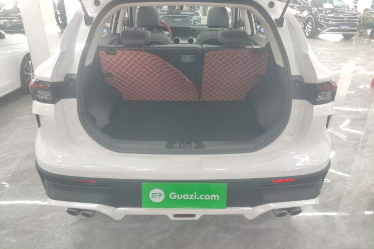 Used FORTHING T5 EVO 2024 Kungbiao Edition 1.5TD DCT Platinum Model Trunk