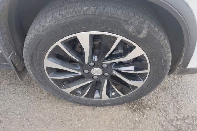 Used FORTHING T5L 2020 1.5T Automatic Luxury 7-Seater China VI Standard Exterior 7