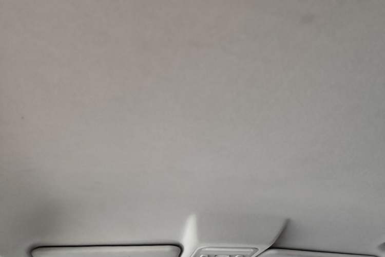 Used FORTHING T5L 2019 1.5T CVT Luxury 7-Seater Headliner
