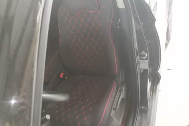Used FORTHING T5L 2020 1.5T Automatic Luxury 7-Seater China VI Standard Left Front Seat