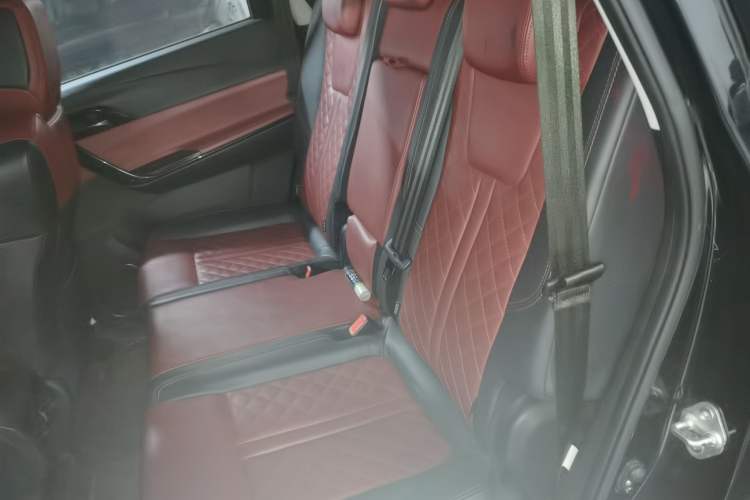 Used FORTHING T5L 2020 1.5T Automatic Luxury 7-Seater China VI Standard Left Rear Seat