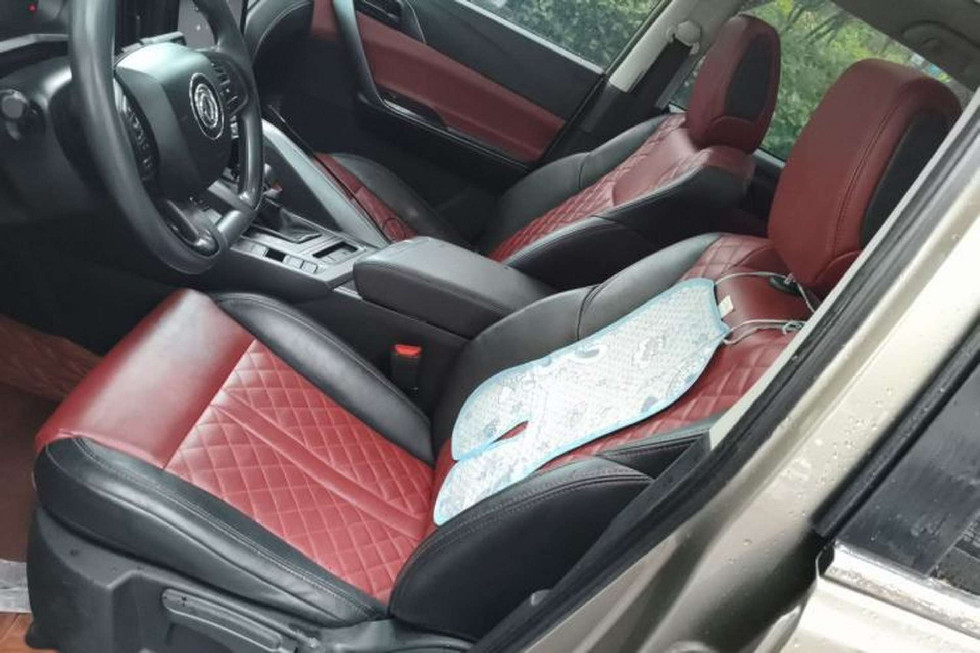 Used FORTHING T5L 2020 1.5T Automatic Luxury 7-Seater China VI Standard Left Front Seat