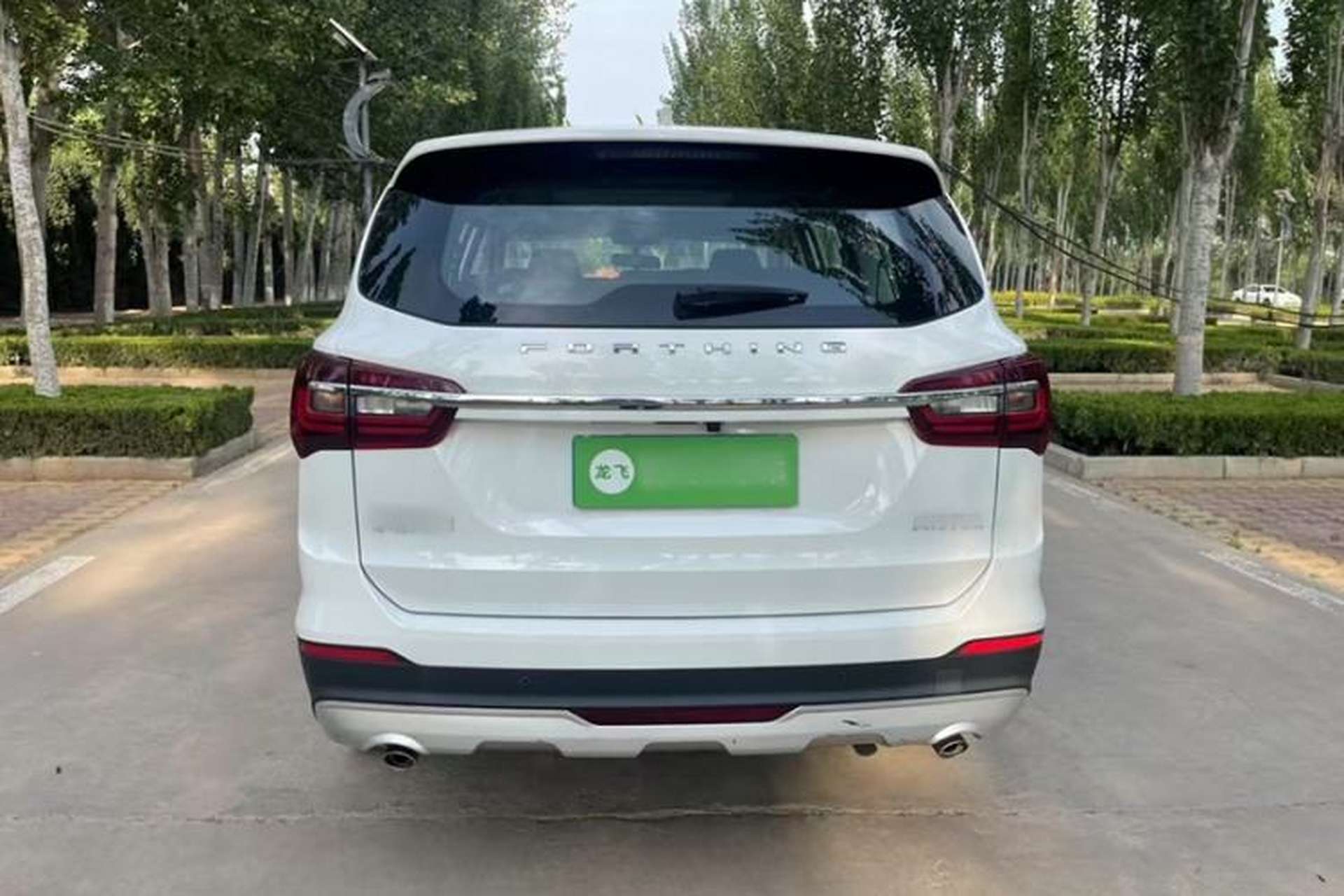 Used FORTHING T5L 2020 1.5T Automatic Luxury 7-Seater China VI Standard Exterior 4