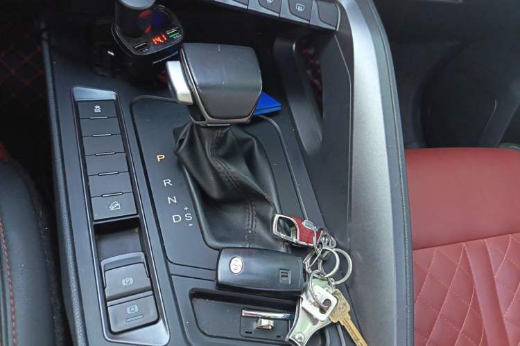 Used FORTHING T5L 2020 1.5T Automatic Luxury 7-Seater China VI Standard Gear Lever