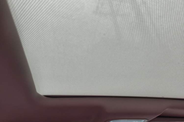 Used FORTHING T5L 2020 1.8T Manual Comfort 7-Seater China VI Headliner