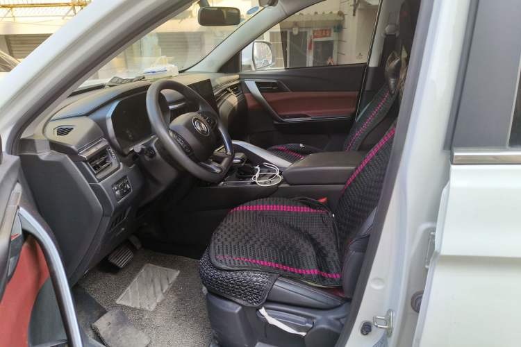 Used FORTHING T5L 2020 1.5T Automatic Luxury 7-Seater China VI Standard Left Front Seat