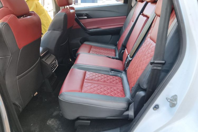 Used FORTHING T5L 2020 1.5T Automatic Luxury 7-Seater China VI Standard Left Rear Seat