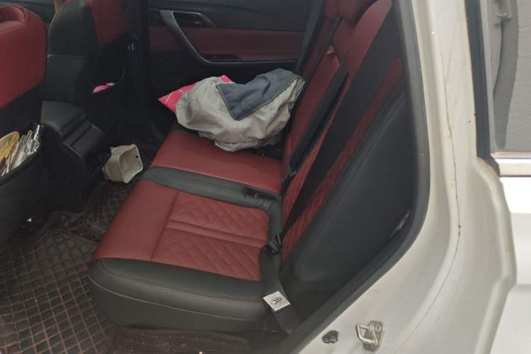 Used FORTHING T5L 2020 1.5T Automatic Luxury 7-Seater China VI Standard Left Rear Seat