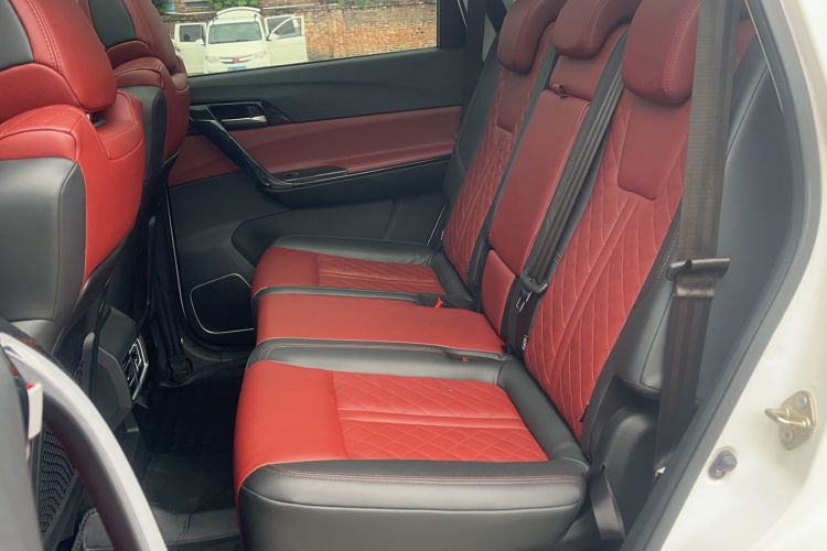 Used FORTHING T5L 2020 1.5T Automatic Luxury 7-Seater China VI Standard Left Rear Seat