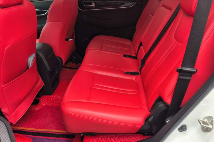 Used FORTHING T5L 2020 1.8T Manual Comfort 7-Seater China VI Left Rear Seat